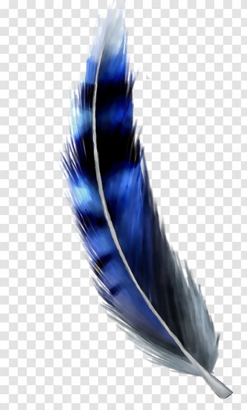 Feather - Fashion Accessory - Natural Material Transparent PNG