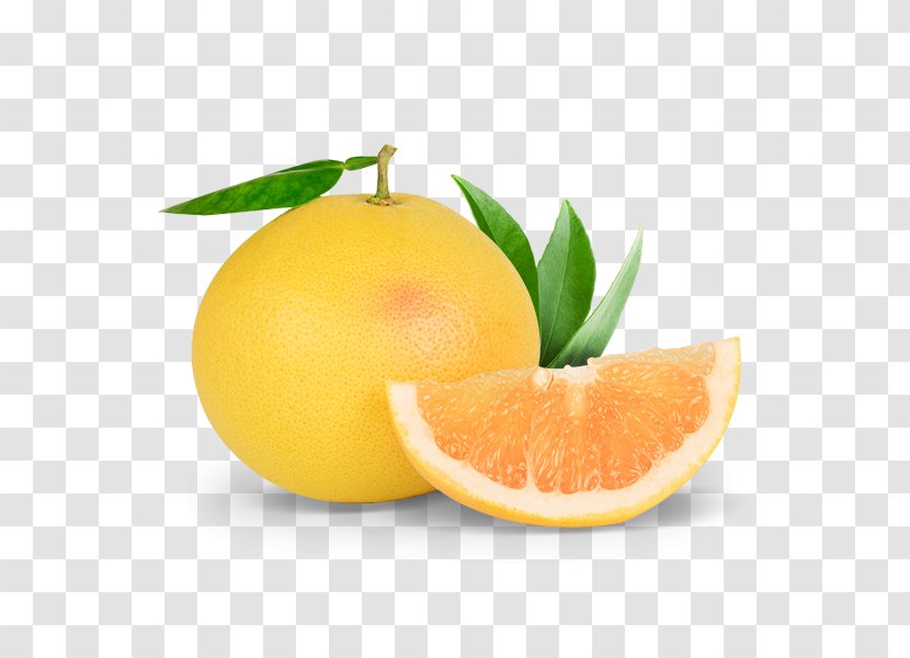 Clementine Grapefruit Lemon Mandarin Orange - Citric Acid Transparent PNG