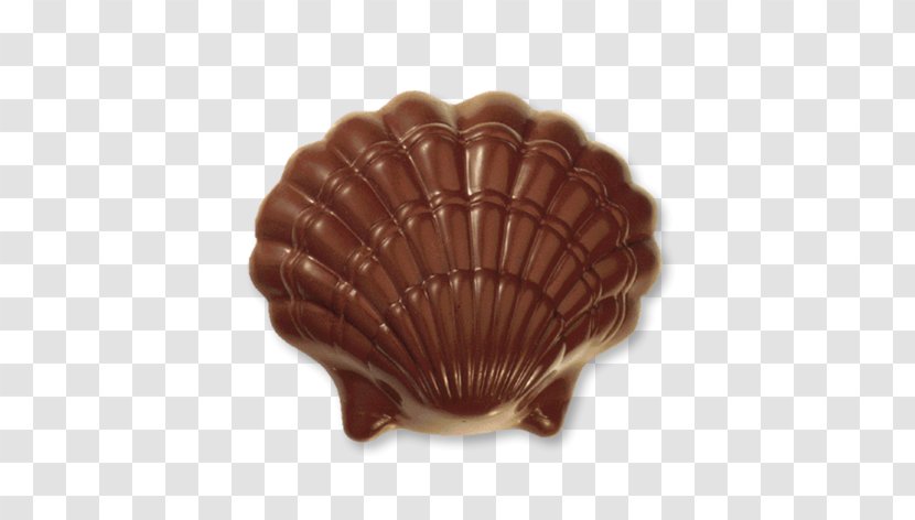 Cockle Conchology Brown - Praline - Klein Transparent PNG