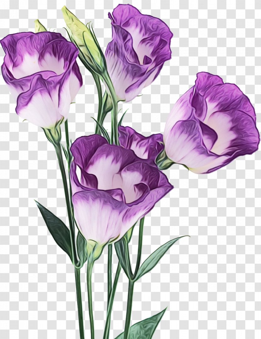 Purple Watercolor Flower - Furniture - Artificial Paint Transparent PNG