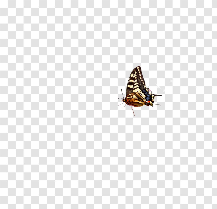 Light Laptop Moth Bluetooth Wireless - Insect - Butterfly Transparent PNG