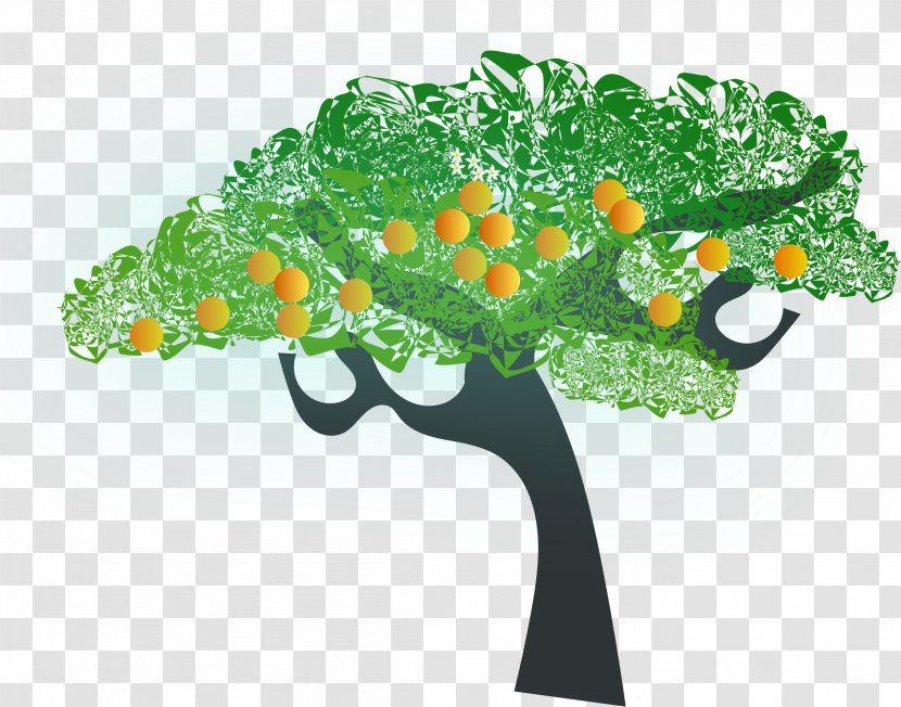 Fruit Tree - Cartoon - Orange Transparent PNG