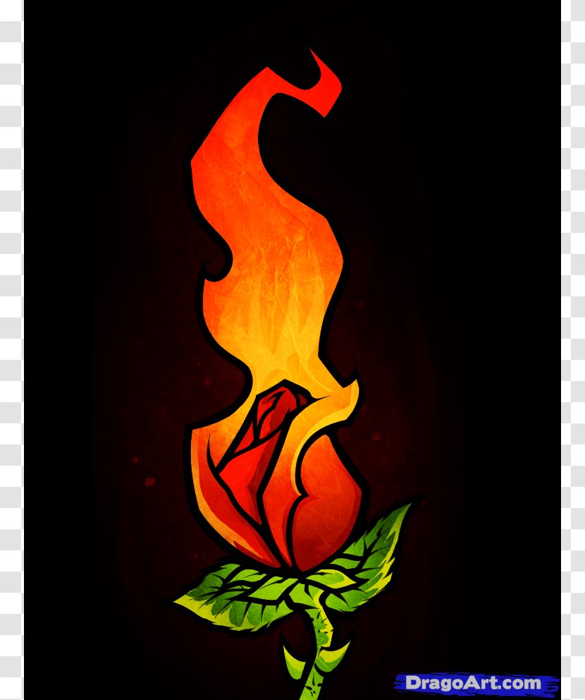 Drawing Rose Fire Flower - Organism - Flaming Cliparts Transparent PNG