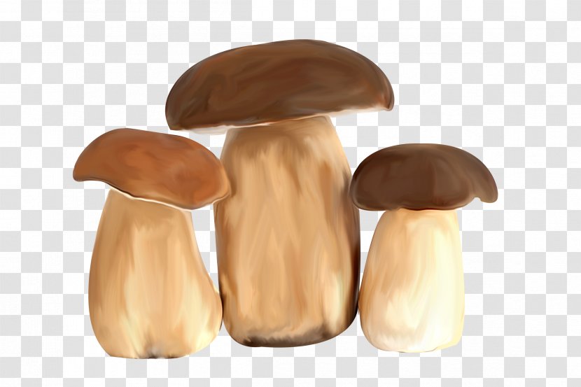 Pleurotus Eryngii Fungus Yandex Search Photography - Edible Mushroom - Fried Transparent PNG