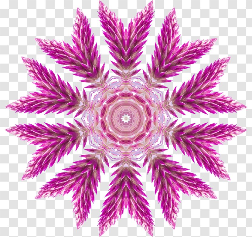 Kaleidoscope Clip Art - Symmetry - Wild Flower Transparent PNG