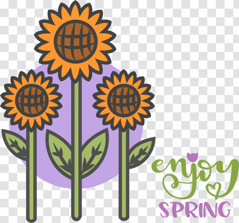 Drawing Cartoon Common Sunflower Logo Sketch Transparent PNG