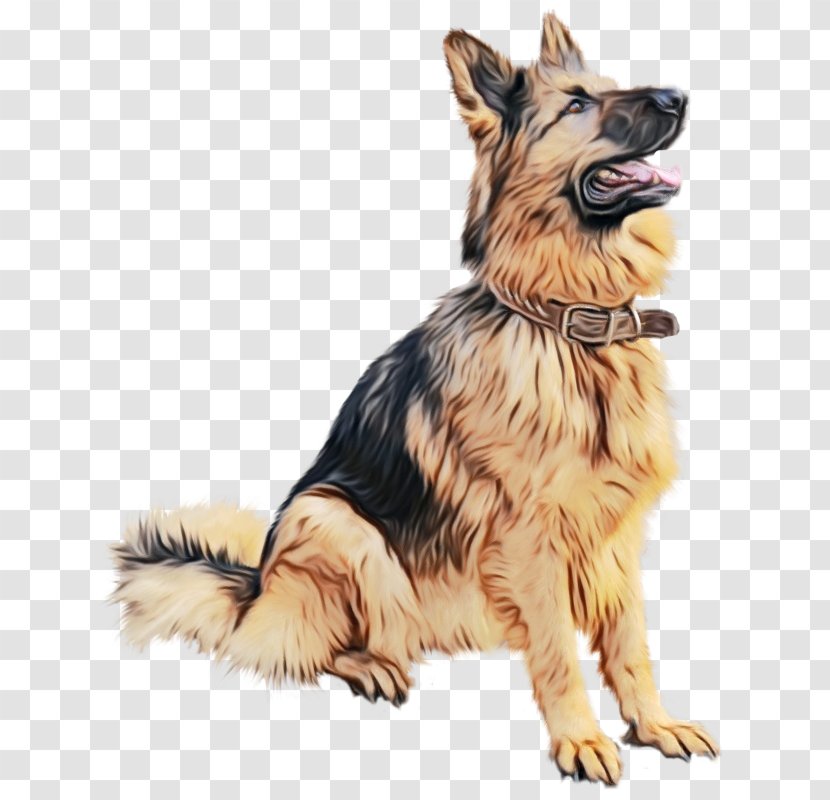 Dog And Cat - King Shepherd - Easteuropean Drawing Transparent PNG