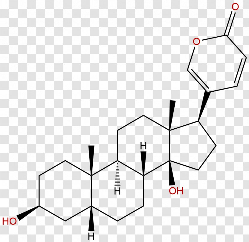 Hyodeoxycholic Acid Bile - Ursodiol - Chengdu Transparent PNG