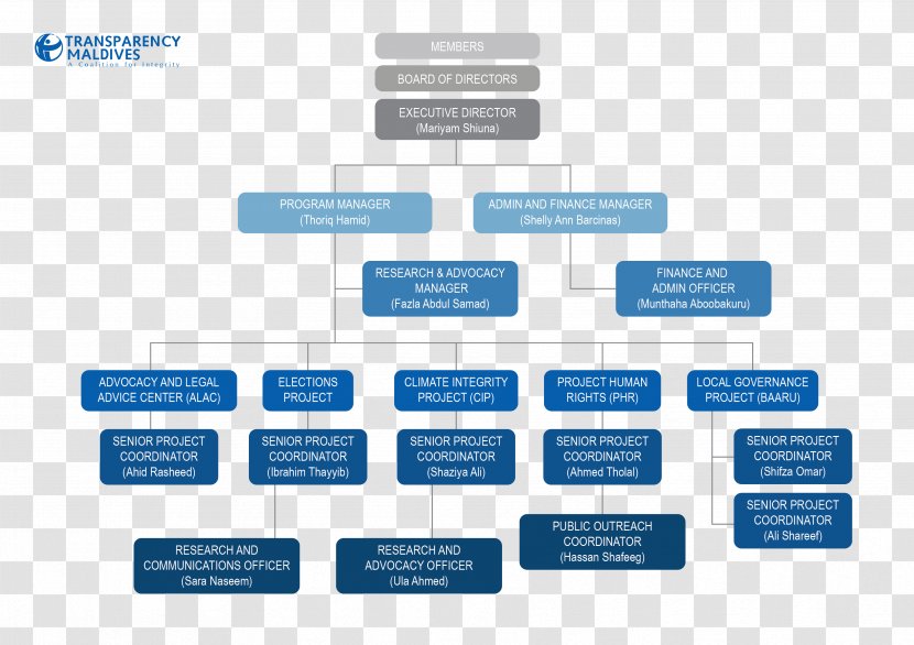 Organizational Structure Chart Diagram - Online Advertising - Organization Transparent PNG