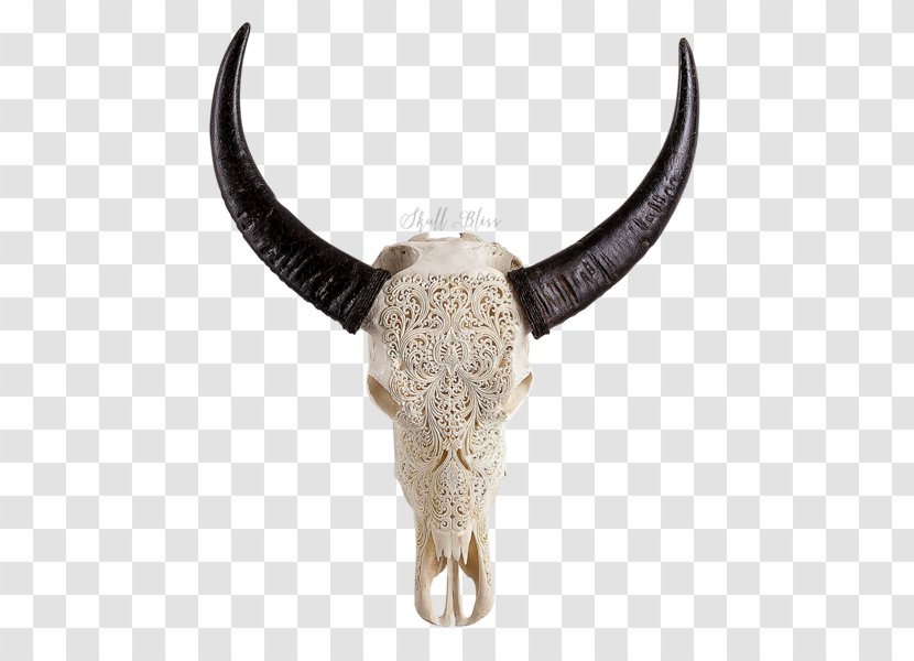 Horn Cattle Animal Skulls - Skull Viking Transparent PNG