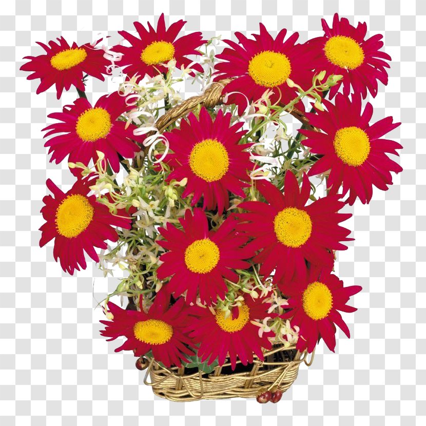 Chrysanthemum Floral Design Transvaal Daisy Cut Flowers Flowerpot - Bouquet Of Red Chrysanthemums Transparent PNG