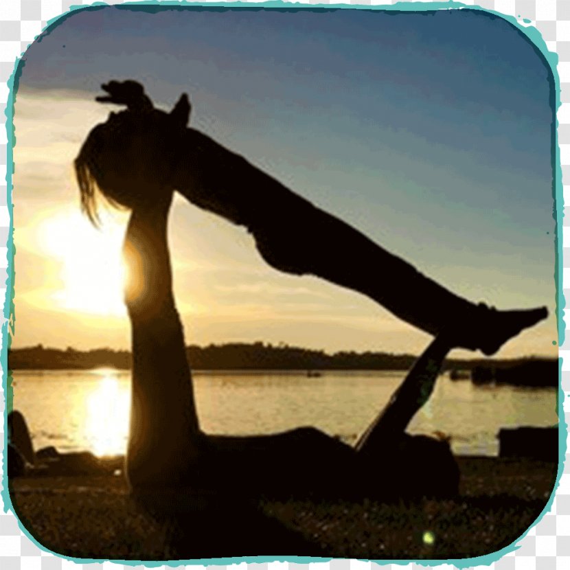 Acroyoga Childhood .fr - Fr - Yoga Transparent PNG