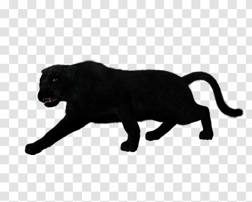 Black Panther Jaguar Silhouette Leopard Clip Art Transparent PNG