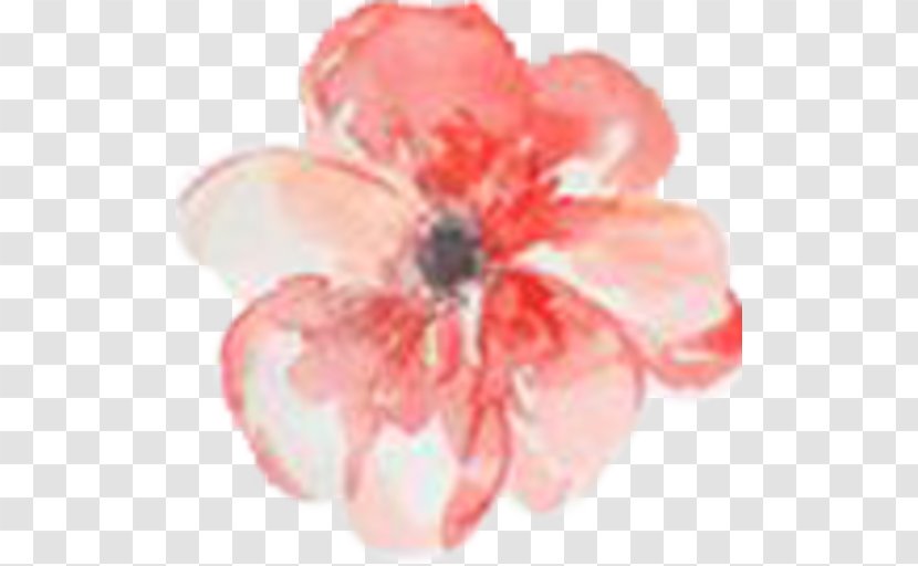 Watercolor Painting Watercolor: Flowers Floral Design - Rose - Flower Transparent PNG