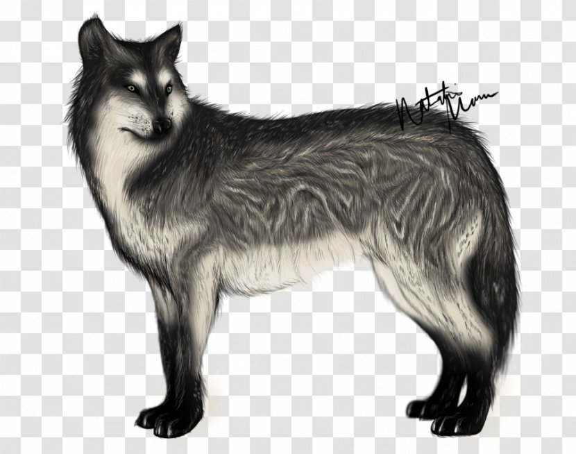 Sakhalin Husky Native American Indian Dog Breed Red Fox Siberian - Glows Transparent PNG