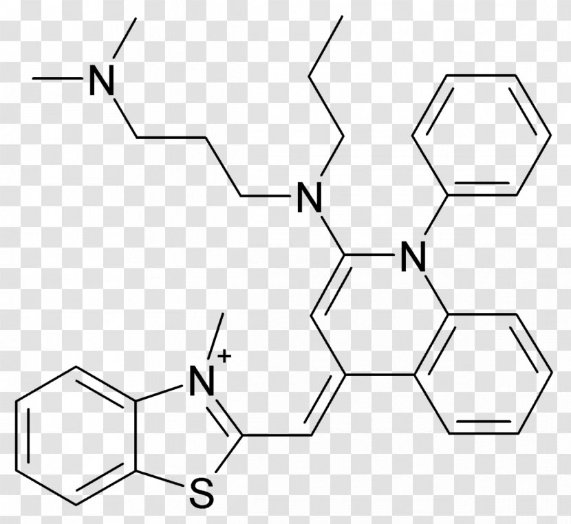 SYBR Green I Nucleic Acid Molecular Biology Ethidium Bromide DNA - Dna Structure Transparent PNG
