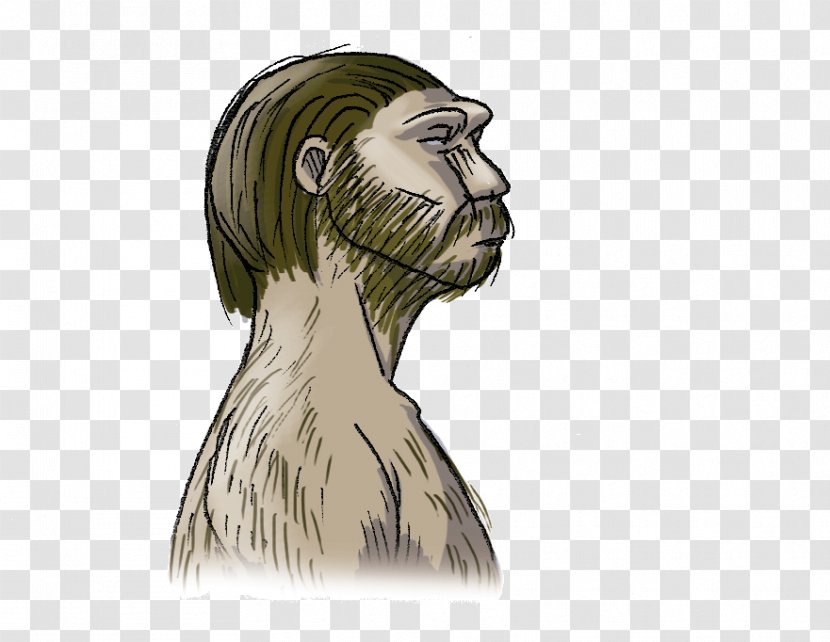 Human Neanderthal Vertebrate Primate Prehistory - Watercolor - Flower Transparent PNG