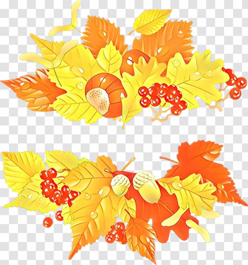 Orange - Yellow - Flower Autumn Transparent PNG