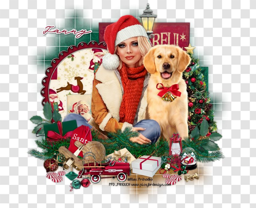 Labrador Retriever Golden Puppy Dog Breed Christmas Ornament Transparent PNG
