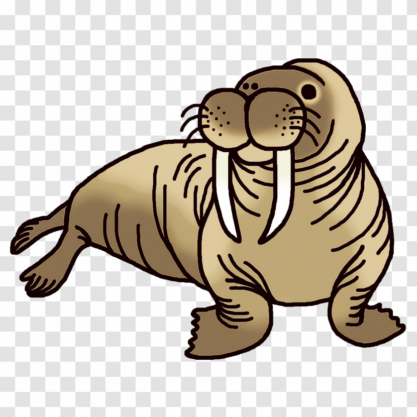 Seals Whiskers Dog Cat Bears Transparent PNG