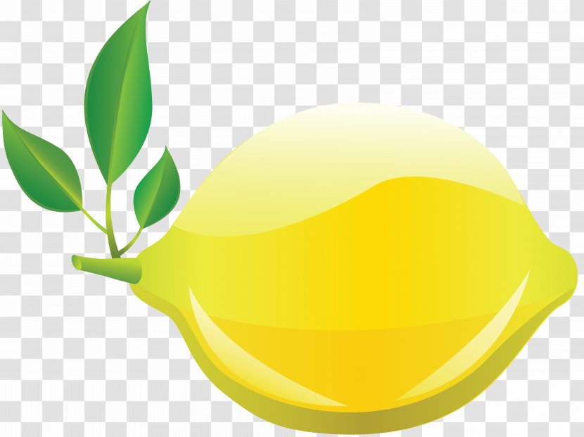 Lemon Citron Drawing Fruit Key Lime Transparent PNG