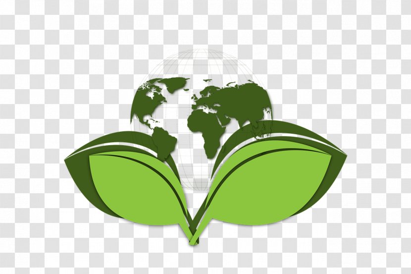 Environmentally Friendly Natural Environment Environmental Policy Environmentalism Issue - Logo - Eco Transparent PNG