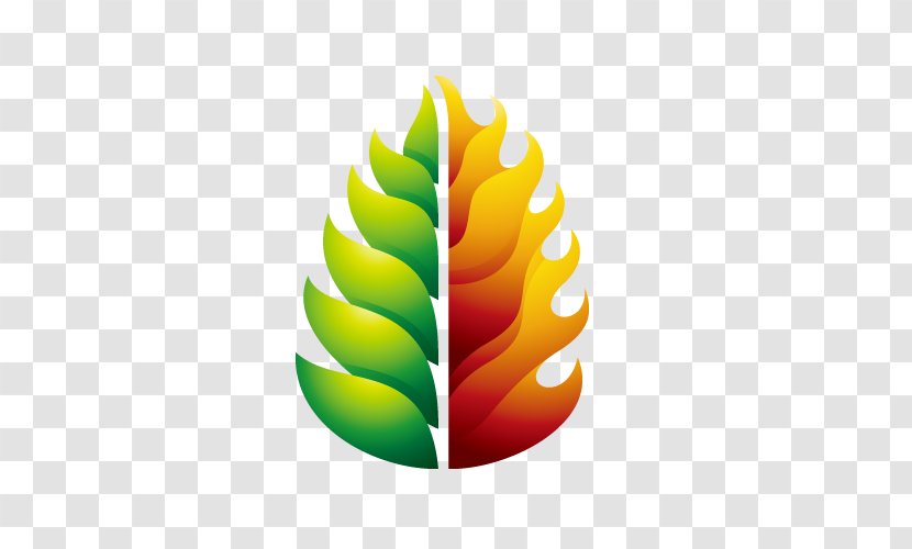 Logo - Fruit - Tree Vector Transparent PNG