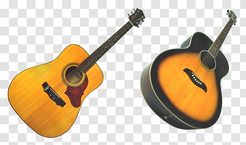 Acoustic Guitar Bass Tiple Cuatro Cavaquinho - Tree Transparent PNG