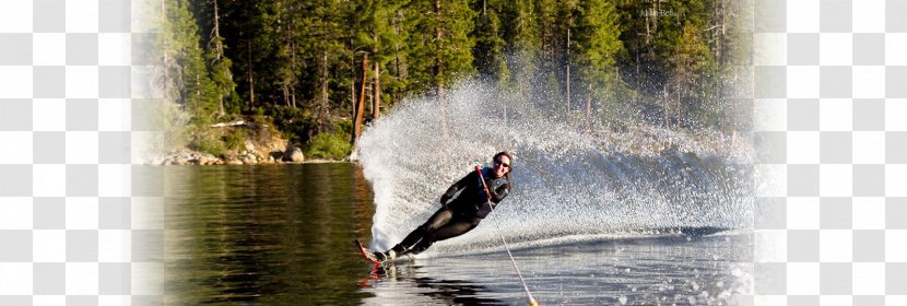 Water Skiing Slalom Lake Tahoe Ski School Transparent PNG