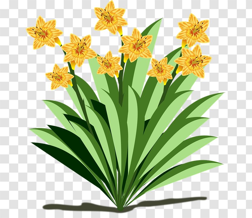 Flowering Plant Clip Art Transparent PNG