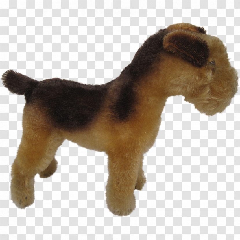 Lakeland Terrier Airedale Welsh Dog Breed Transparent PNG