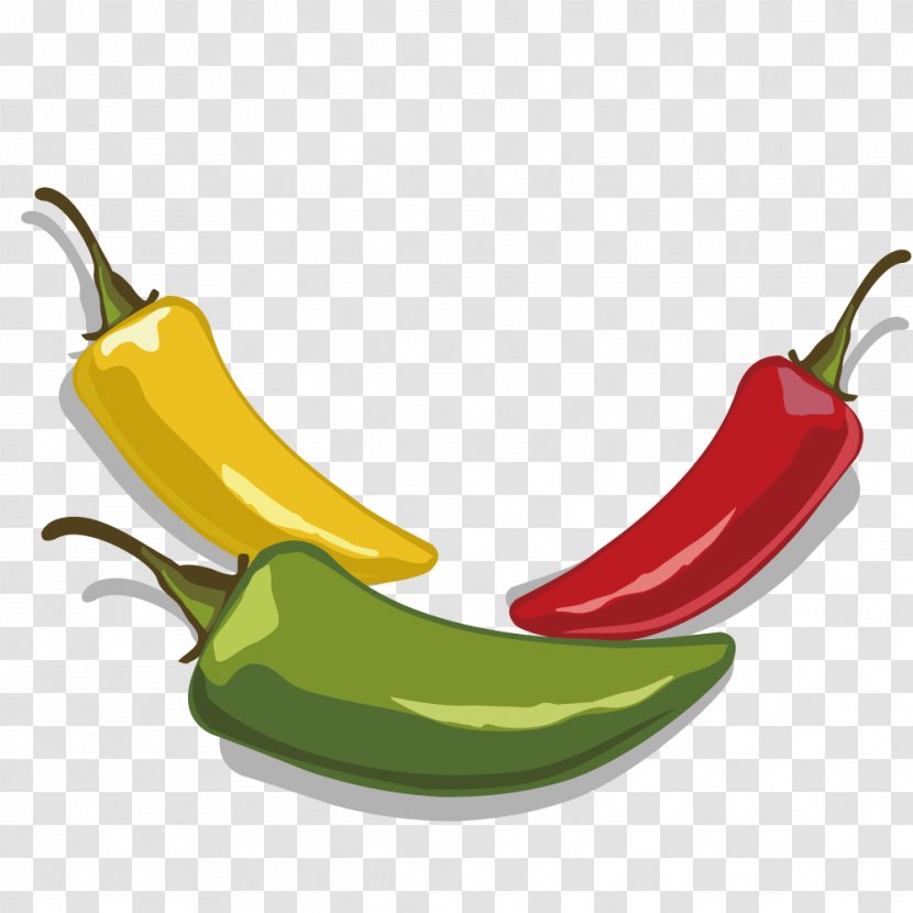 Serrano Pepper Jalapexf1o Tabasco - Logo - Vector Vegetables Transparent PNG