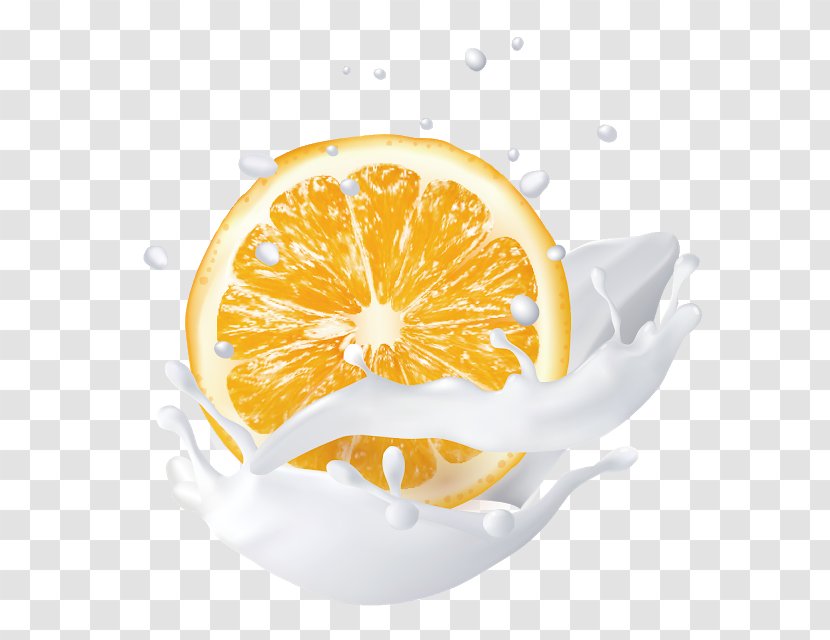 Lemonade - Citron - Kumquat Plant Transparent PNG