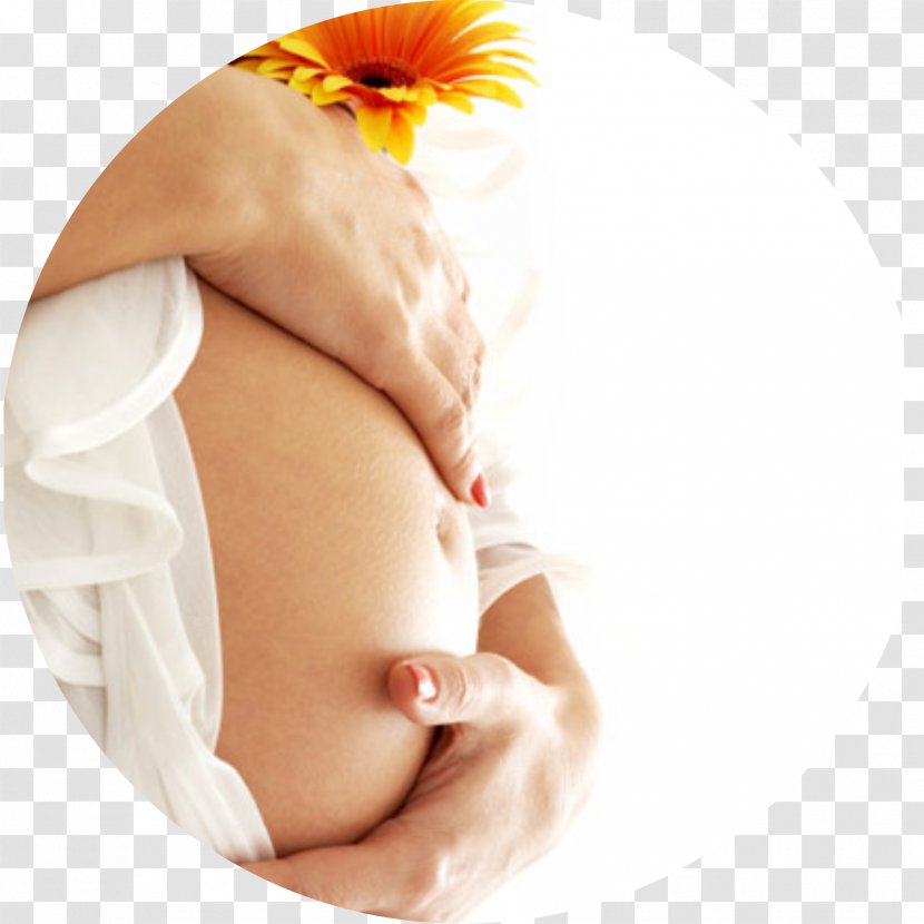 Pregnancy Therapy Childbirth Health Care Medicine - Caesarean Section - Pregnant Woman Transparent PNG
