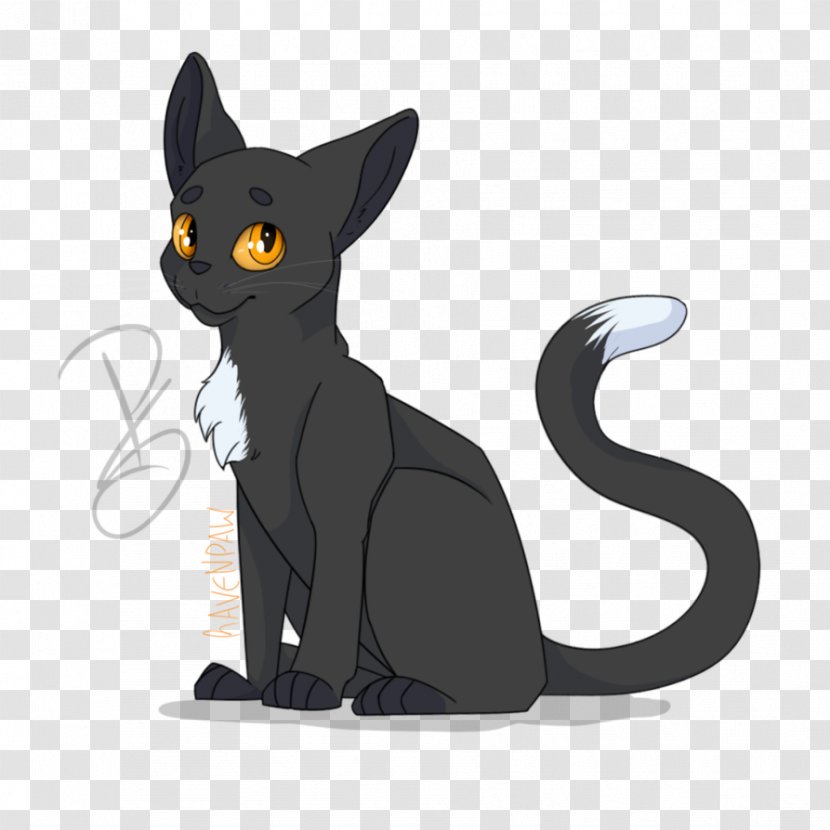 Black Cat Korat Kitten Ravenpaw Whiskers - Yellowfang Transparent PNG
