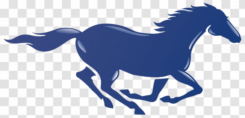 San Dieguito Academy La Costa Canyon High School Mustang Crest Junior Varsity Team - College Transparent PNG