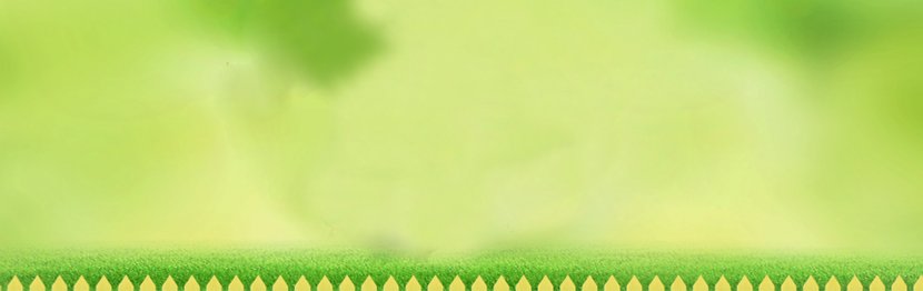 Sunlight Sky Green Close-up Wallpaper - Closeup - Background Transparent PNG