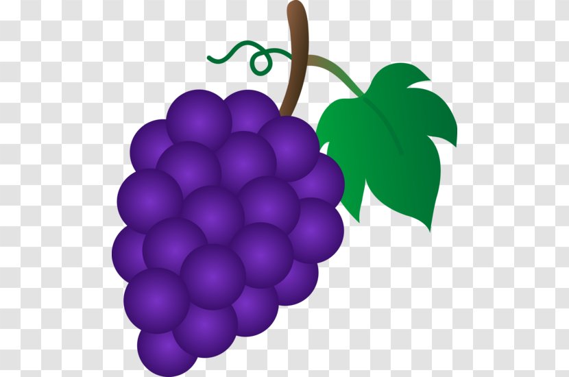 Common Grape Vine Sultana Clip Art - Purple - Grapes Cliparts Transparent PNG