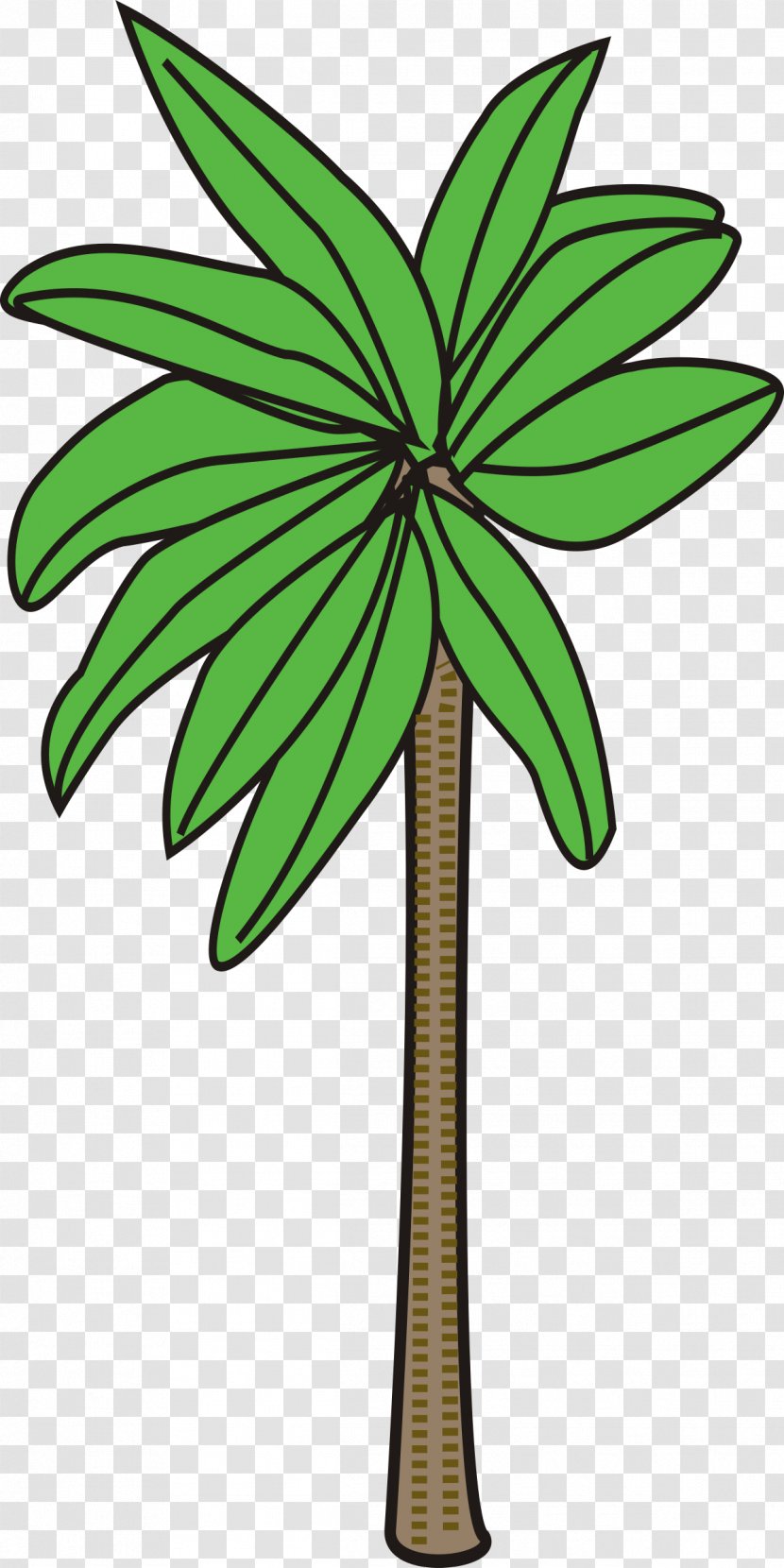Tree Arecaceae Woody Plant Clip Art - Tropics - Palm Trees Transparent PNG