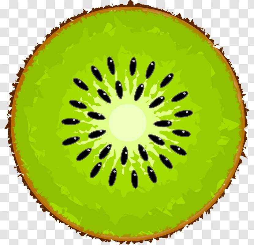 Kiwifruit Clip Art - Kiwi Transparent PNG