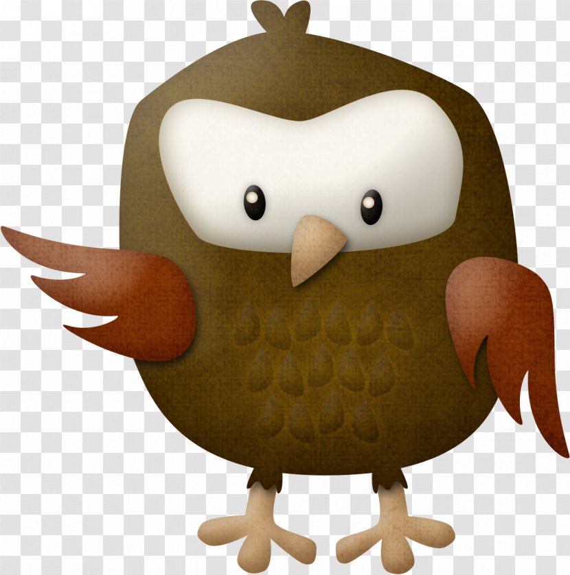 Owl Beak Clip Art - Bird - Gerald Durrell Transparent PNG