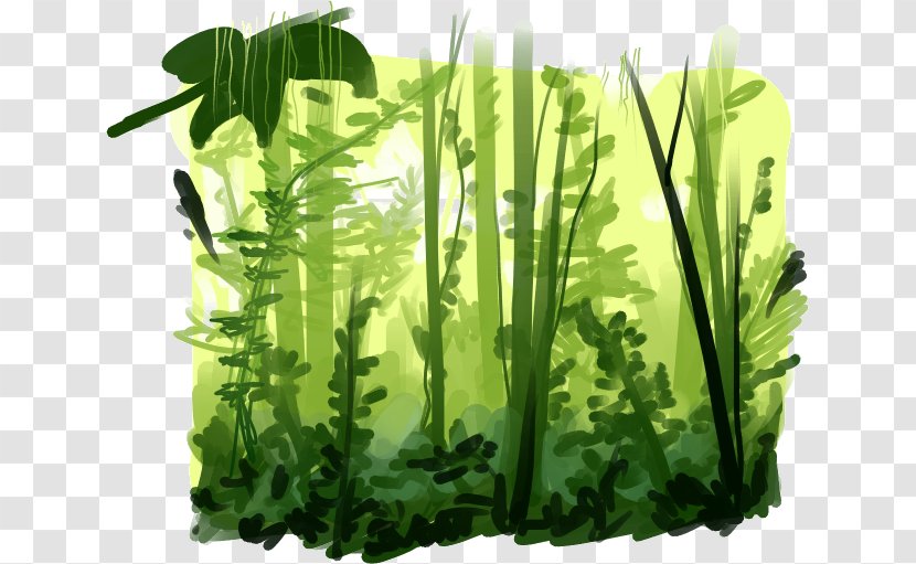Rainforest Image Animation Vector Graphics - Cartoon Transparent PNG