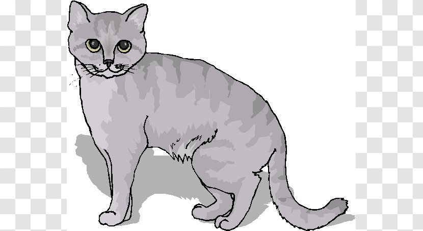 Burmese Cat Manx American Wirehair Kitten Tabby - Cartoon - January Cliparts Transparent PNG
