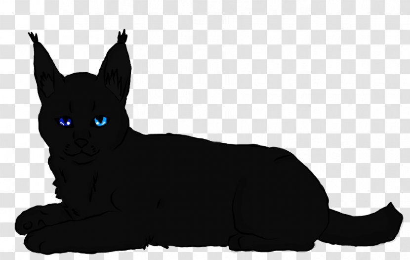 Black Cat Whiskers Dog Breed Transparent PNG