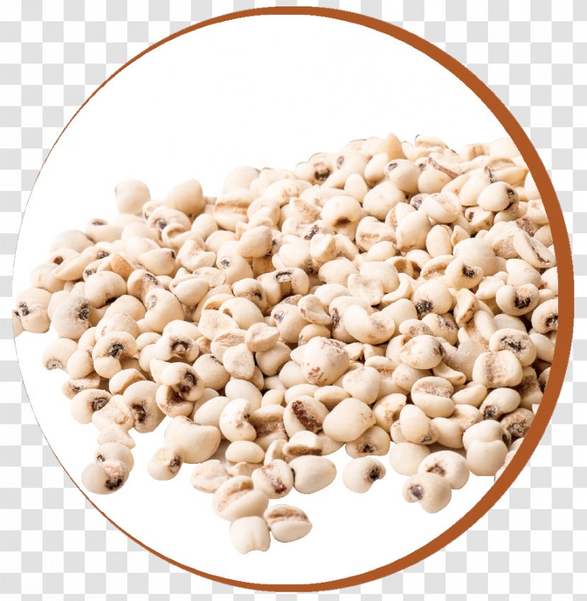 Vegetarian Cuisine Ingredient Superfood Commodity - Vegetarianism - Barley Transparent PNG