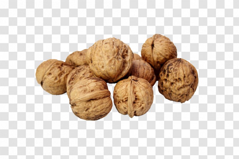 Walnut Nutcracker - Drawing - Nuts Photos Transparent PNG