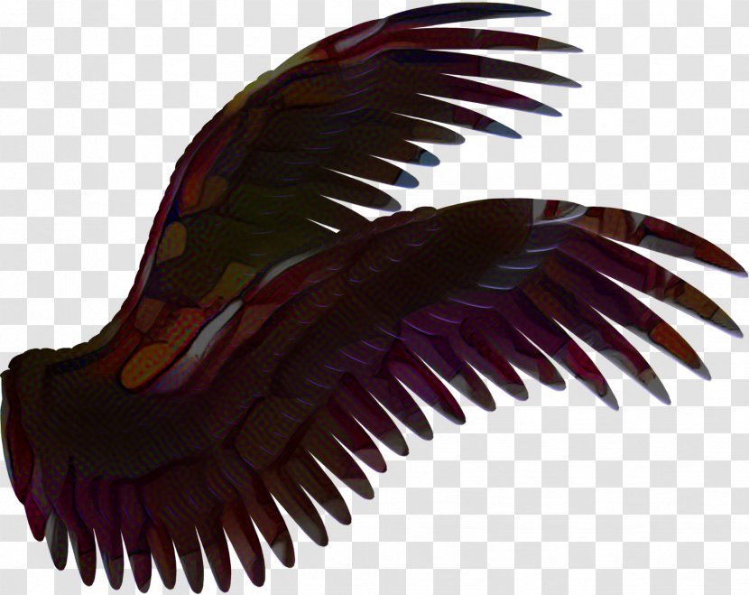 Drawing Maroon - Wing Transparent PNG