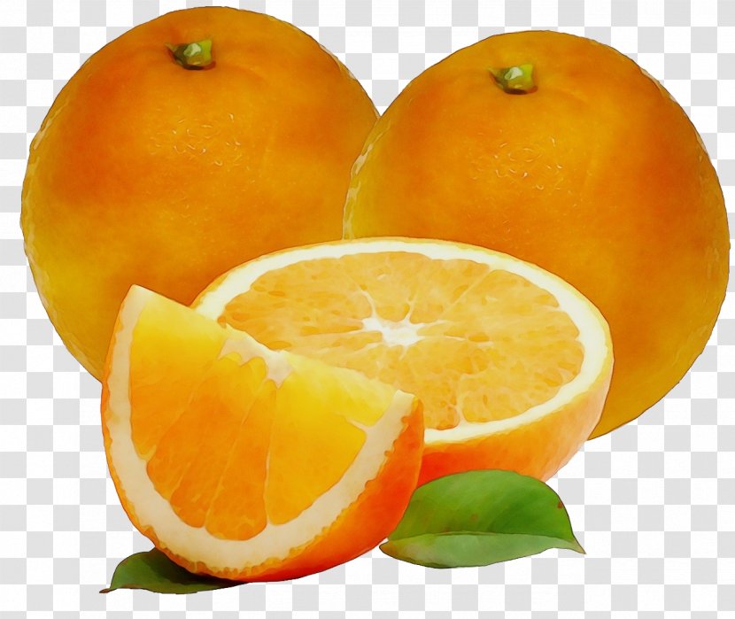 Orange - Wet Ink - Lemonlime Mandarin Transparent PNG