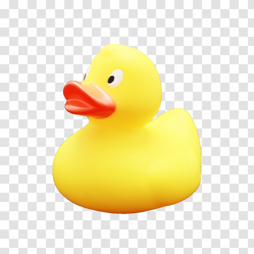 Duck Toy - Bird - Rubber Transparent PNG