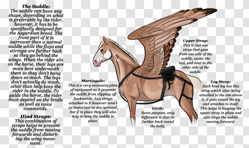 Horse Saddle Pony Drawing Rein - Mustang Transparent PNG